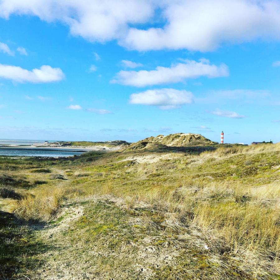 Paddle - Vue Mer - 100M Plage Berck Екстериор снимка