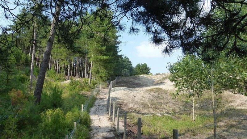 Paddle - Vue Mer - 100M Plage Berck Екстериор снимка