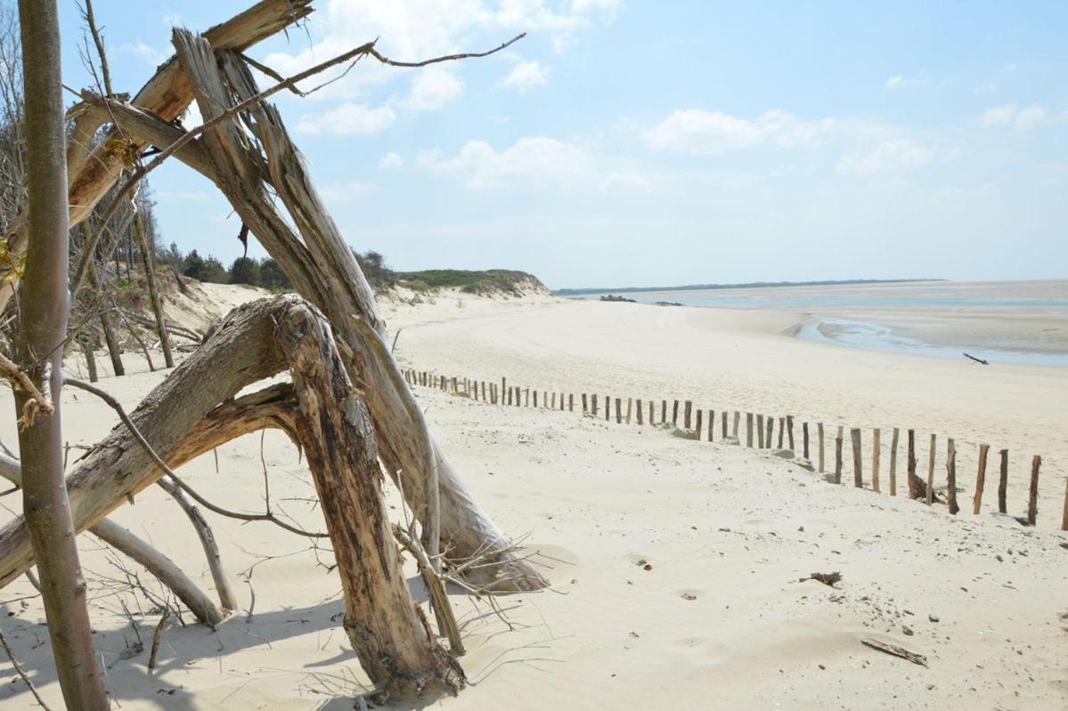 Paddle - Vue Mer - 100M Plage Berck Екстериор снимка